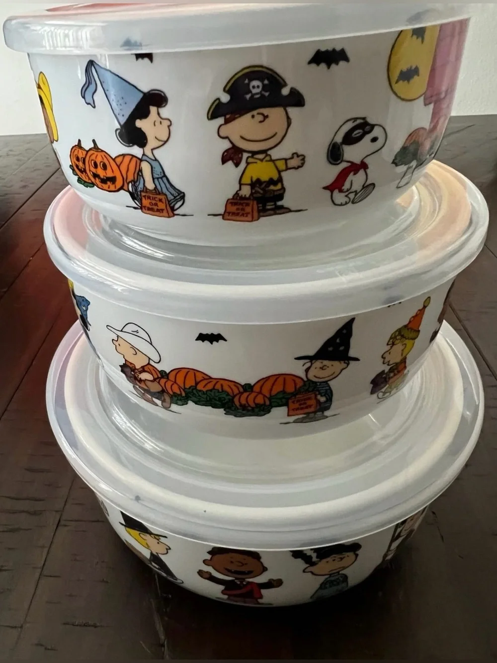Snoopy & Gang Nesting Bowls with Pressure Release Lids Set of 3
